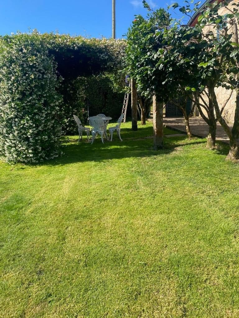 Tareas de mantenimiento de jardines en Santiago