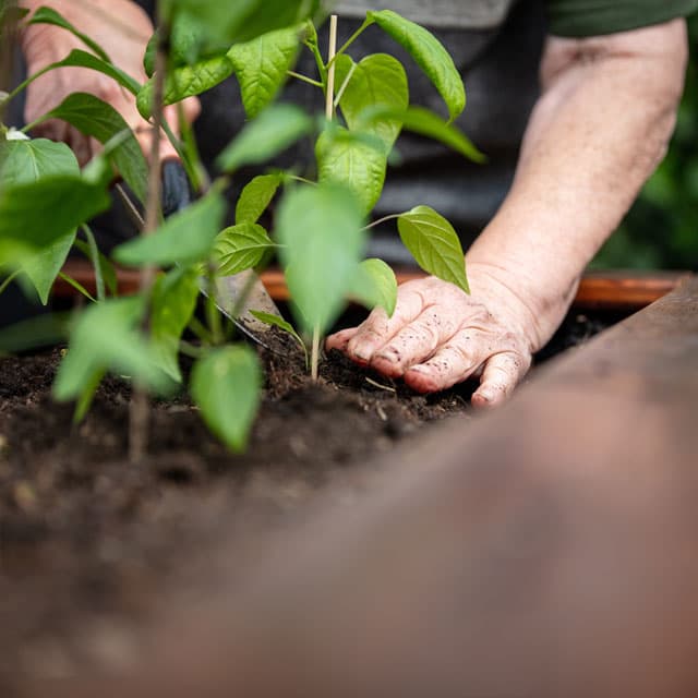 Contactar con empresa de jardinería en Santiago y alrededores