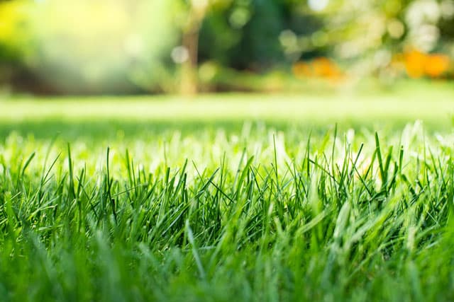 Galería de trabajos de jardinería en Santiago